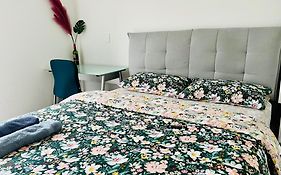 Ln Homestay In Flat Bush Auckland